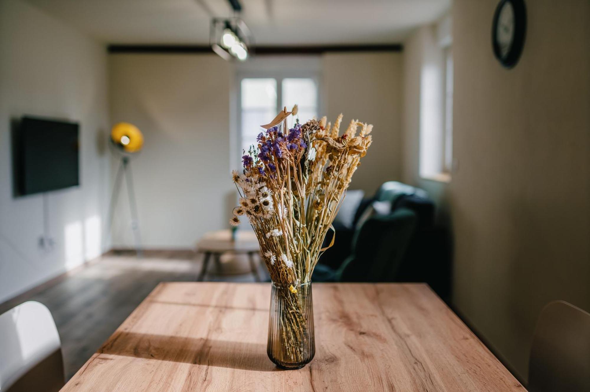 Residence Les Charmes Boofzheim Экстерьер фото